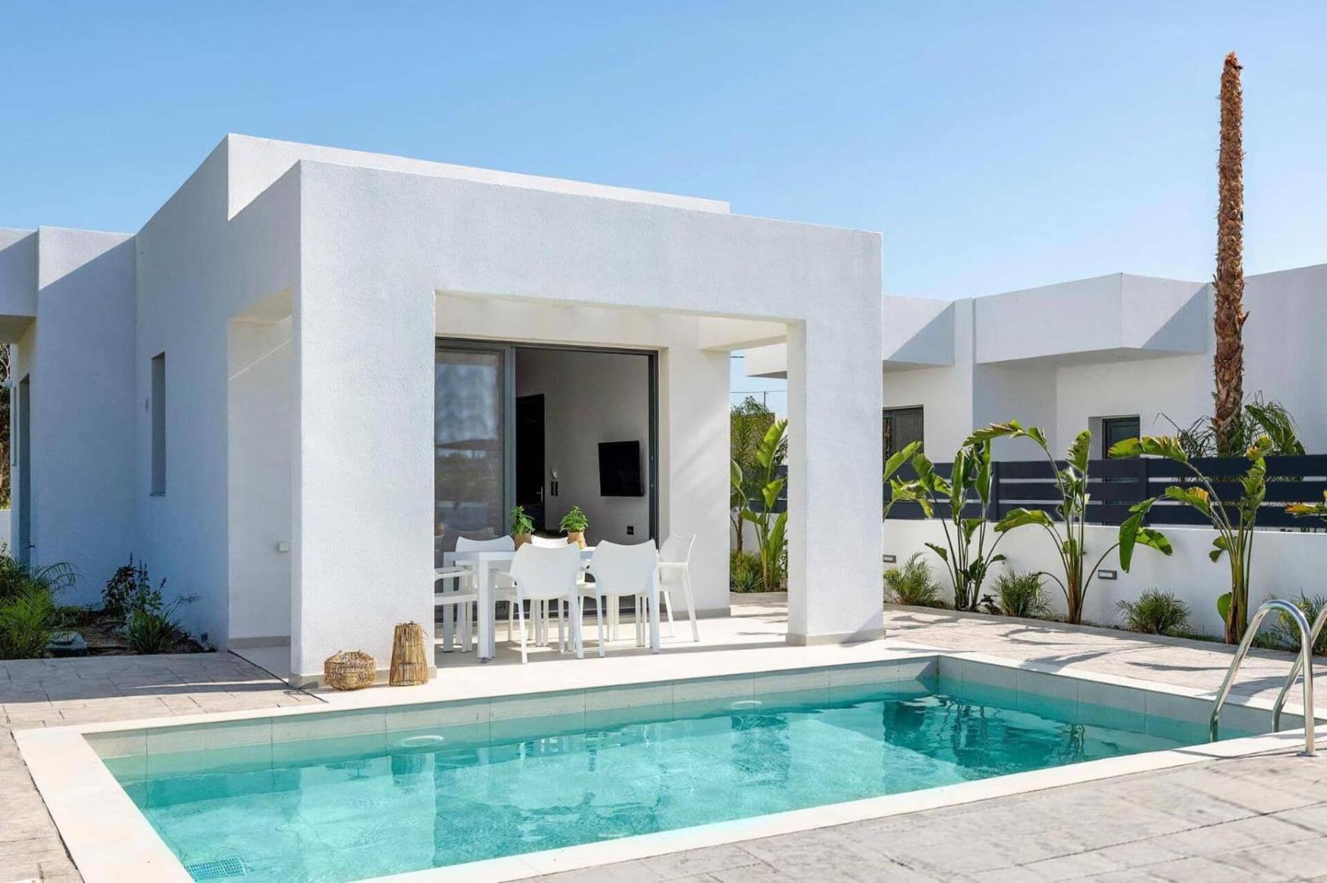Palm Vista By *